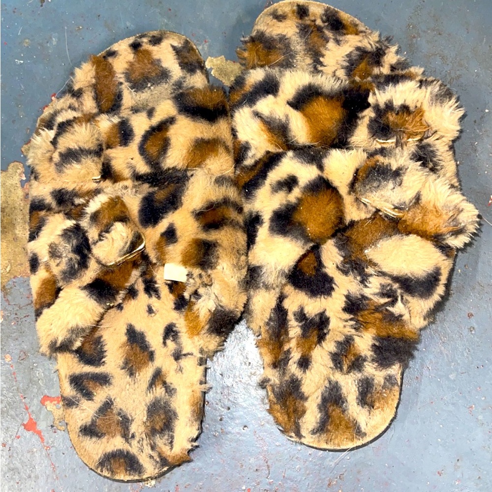 Cheetah slides